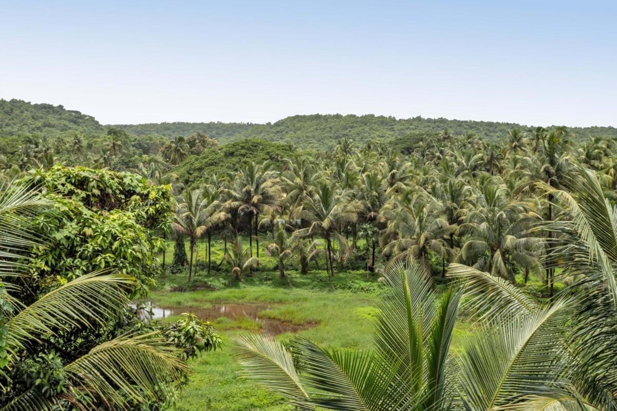 Ikigai Luxury Stays Velha Goa Exterior foto